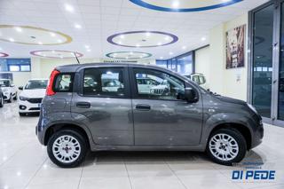 FIAT Panda usata, con Antifurto