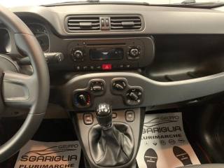 FIAT Panda usata, con Climatizzatore