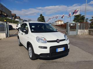 FIAT Panda usata, con Alzacristalli elettrici