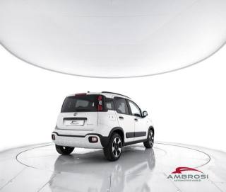 FIAT Panda usata 2
