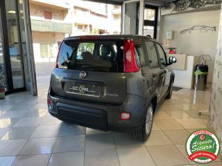 FIAT Panda usata, con Alzacristalli elettrici