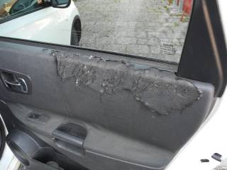 NISSAN Qashqai+2 usata 84