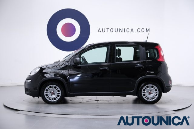 FIAT Panda usata, con Luci diurne