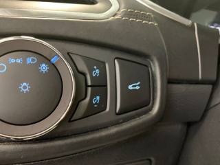 FORD S-Max usata, con Controllo vocale
