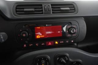 FIAT Panda usata 14