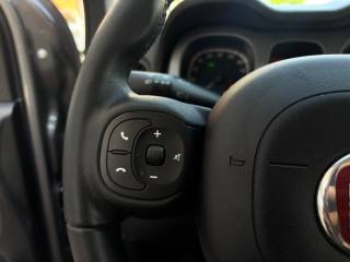 FIAT Panda usata, con Controllo trazione