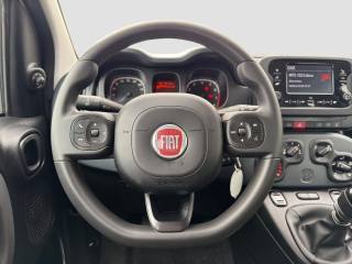 FIAT Panda usata 11