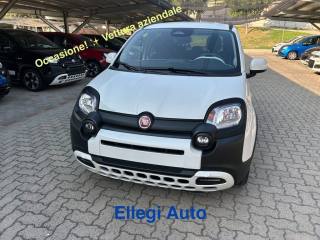 FIAT Pandina usata, con Bracciolo