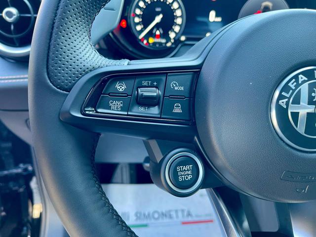 ALFA ROMEO Tonale usata, con Interni in pelle