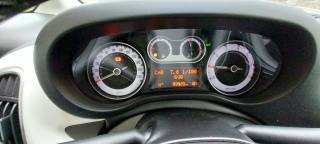 FIAT 500L usata 10
