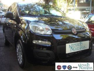 FIAT Panda usata, con Alzacristalli elettrici