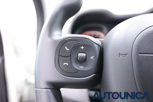 FIAT Panda Cross usata, con USB
