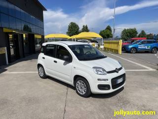 FIAT Panda usata, con Airbag Passeggero