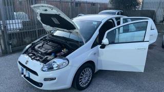 FIAT Punto usata, con Climatizzatore