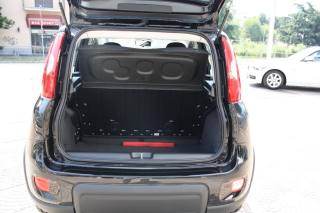 FIAT Panda usata 14
