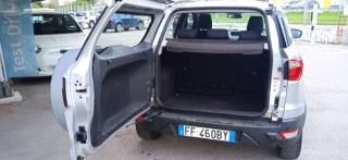 FORD EcoSport usata, con Fendinebbia