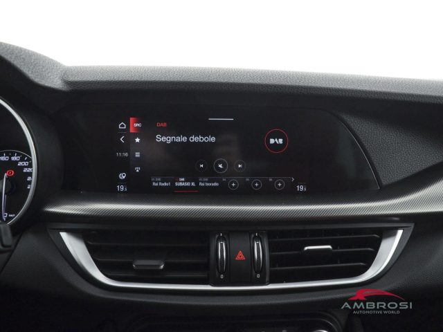 ALFA ROMEO Stelvio usata 13