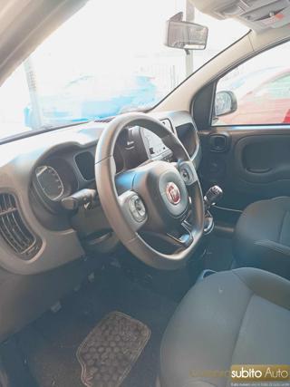 FIAT Panda usata 16