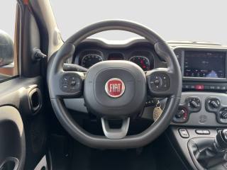 FIAT Panda usata 12