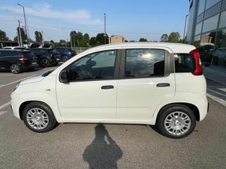 FIAT Panda usata, con Antifurto