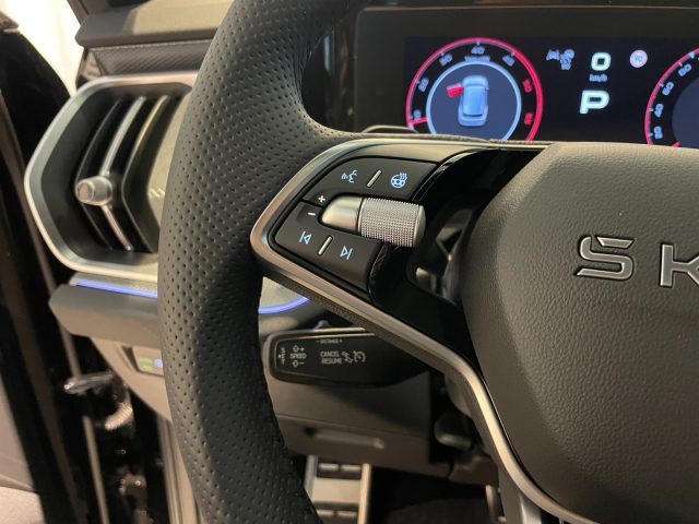 SKODA Kodiaq usata, con Climatizzatore