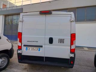 FIAT Ducato usata, con Bracciolo