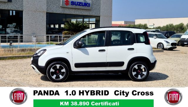 FIAT Panda Cross usata, con Autoradio