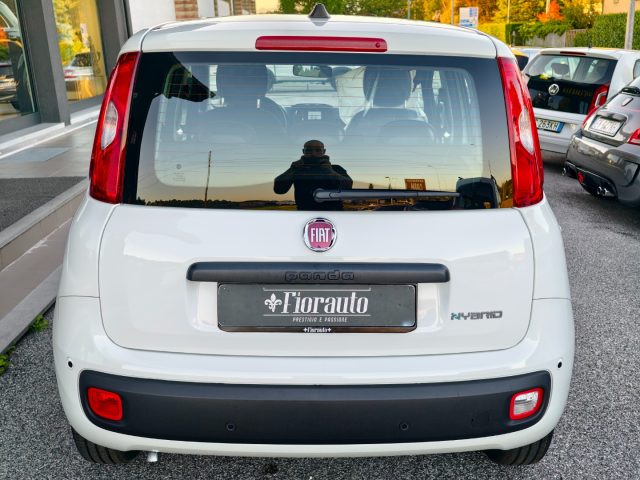 FIAT Panda usata, con Alzacristalli elettrici