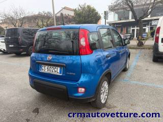 FIAT Panda usata, con Antifurto