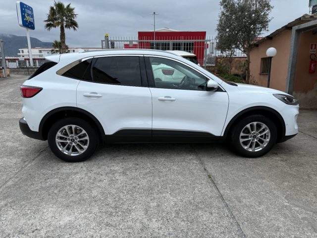 FORD Kuga usata, con Cronologia tagliandi