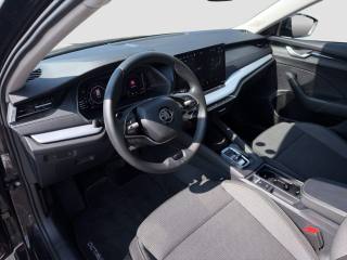 SKODA Octavia usata 8