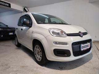 FIAT Panda usata, con Airbag Passeggero