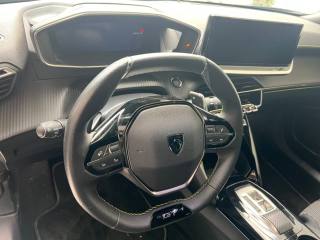 PEUGEOT 2008 usata, con Cronologia tagliandi