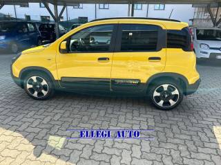 FIAT Pandina usata, con Servosterzo