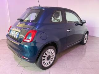 FIAT 500 usata 9