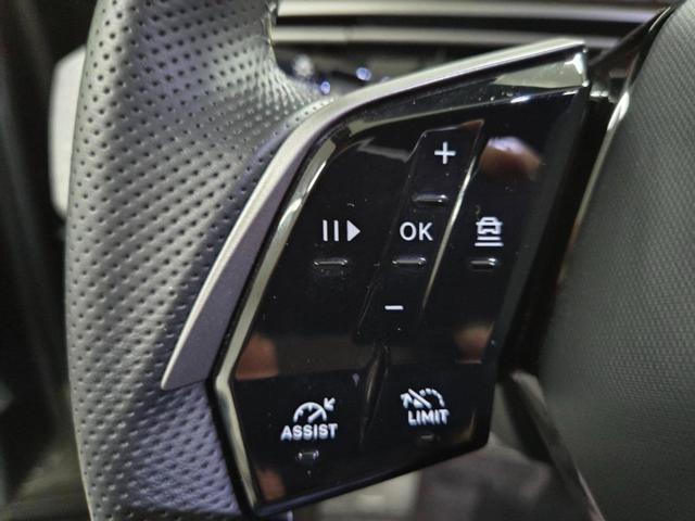 PEUGEOT 3008 usata, con Vetri oscurati