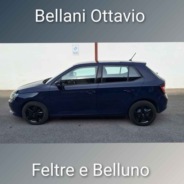 SKODA Fabia usata, con Airbag Passeggero