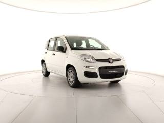 FIAT Panda usata, con Climatizzatore