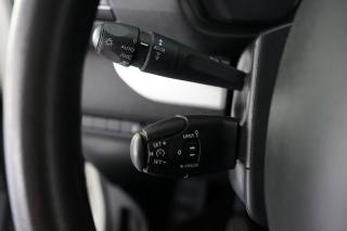 PEUGEOT Traveller usata 38
