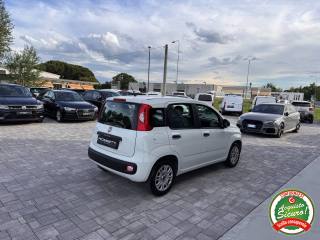 FIAT Panda usata, con Climatizzatore