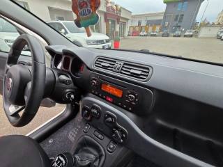FIAT Panda usata 12