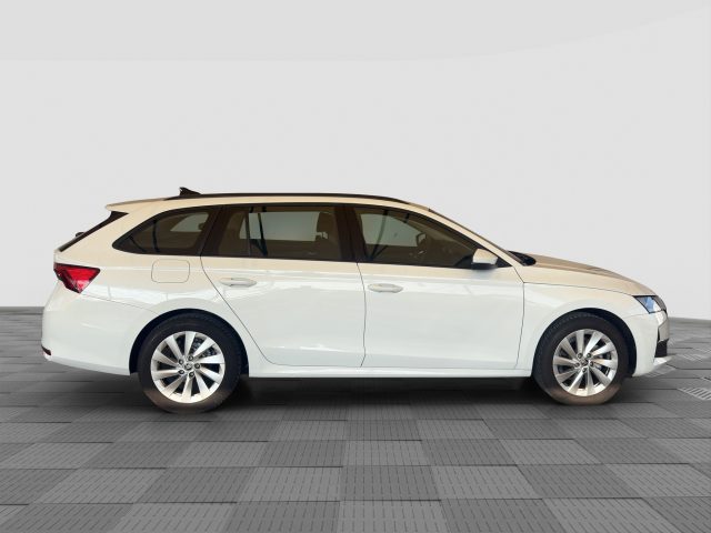 SKODA Octavia usata 6