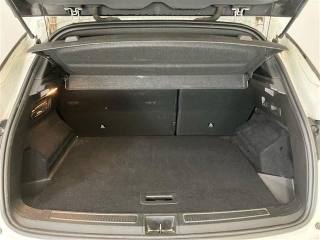 RENAULT Austral usata 19