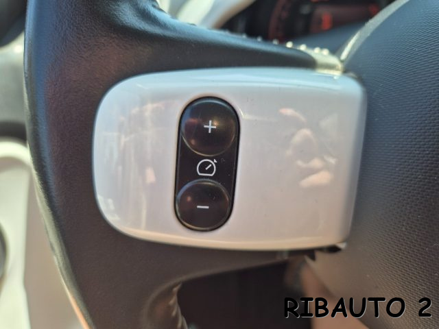 RENAULT Twingo usata, con Bracciolo