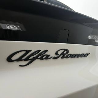 ALFA ROMEO Junior usata, con Sensore di pioggia