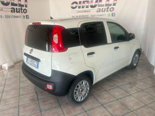 FIAT Panda usata, con Alzacristalli elettrici