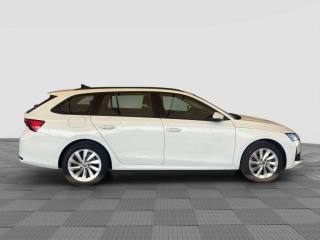 SKODA Octavia usata 6