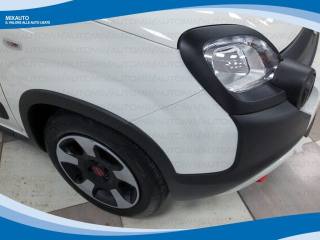FIAT Panda Cross usata, con Immobilizzatore elettronico