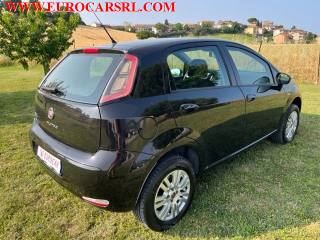 FIAT Punto usata 6