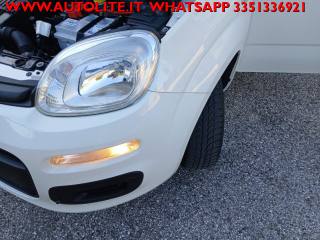 FIAT Panda usata 22